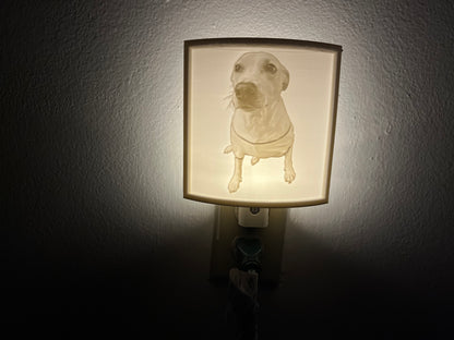 Custom 3D Printed Lithophane Night Light