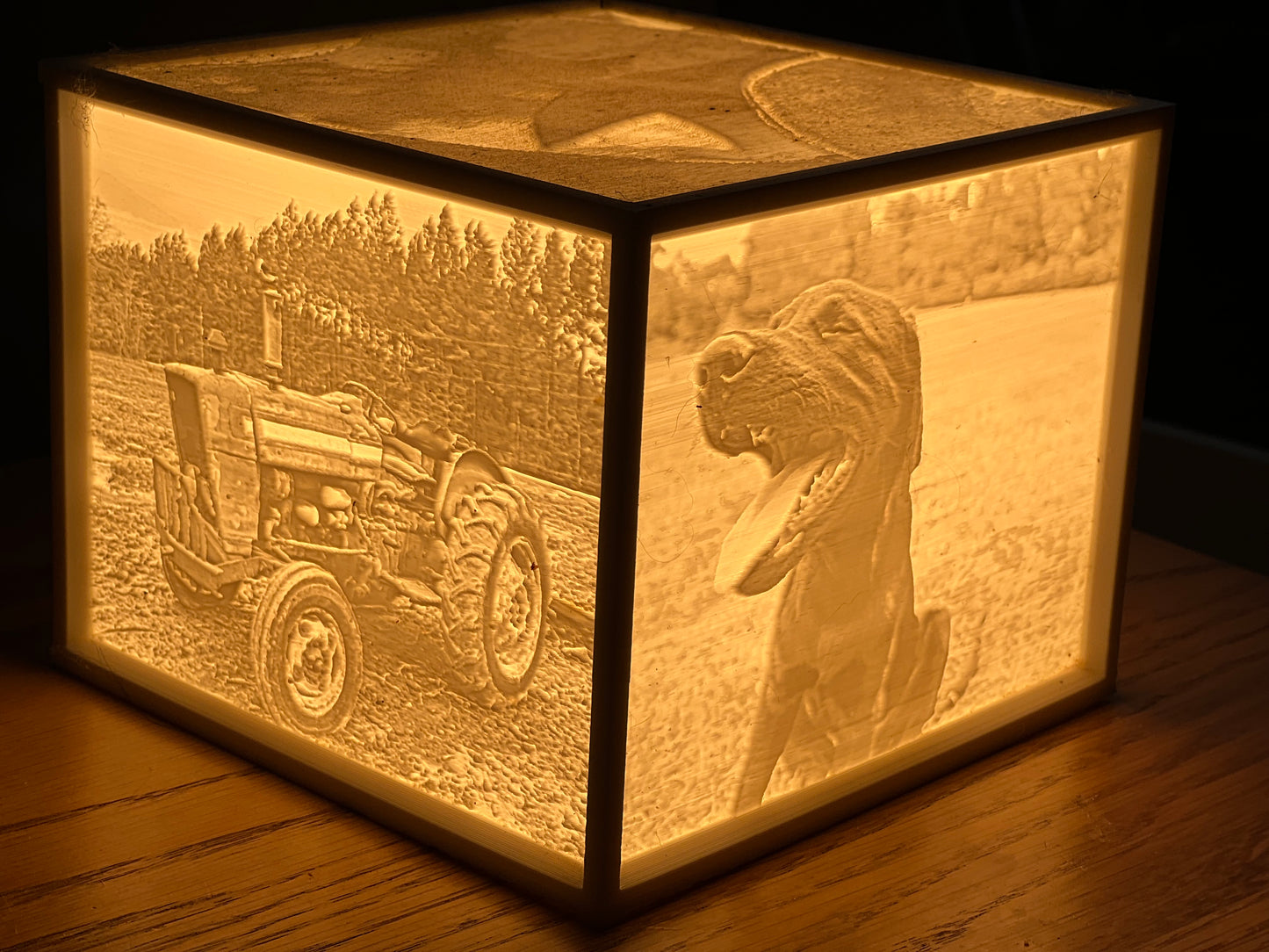 Custom 3D Printed Lithophane Light Box