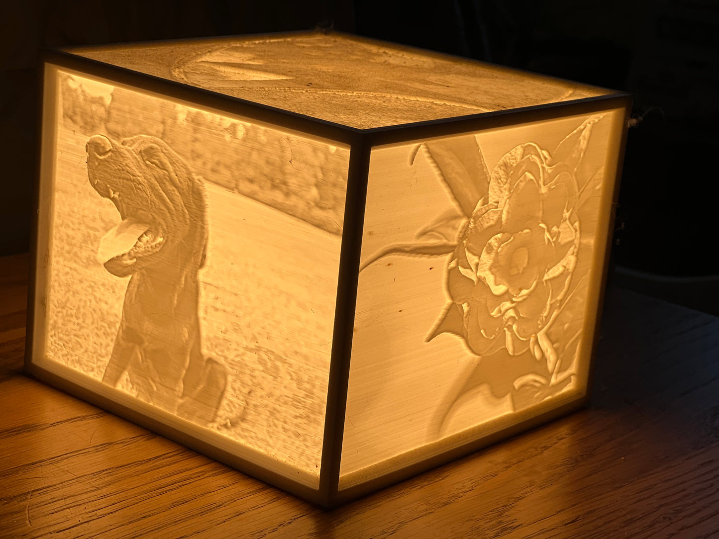 Custom 3D Printed Lithophane Light Box