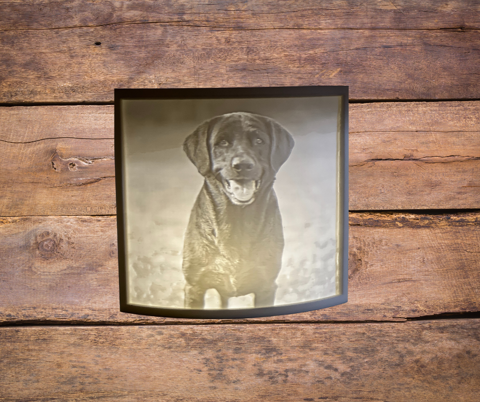 Custom 3D Printed Lithophane Night Light